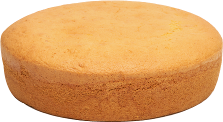 sponge cake base